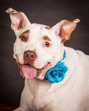 Foster Joanie-0479