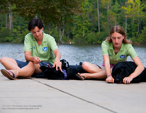 Guide Puppies (13 of 191)