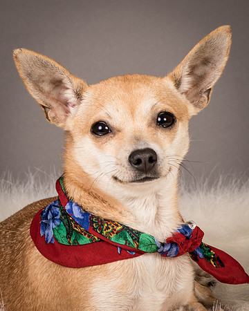 Foster Rosanna-3878