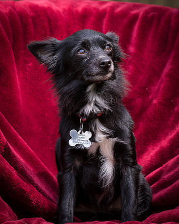 Foster Julio-8486