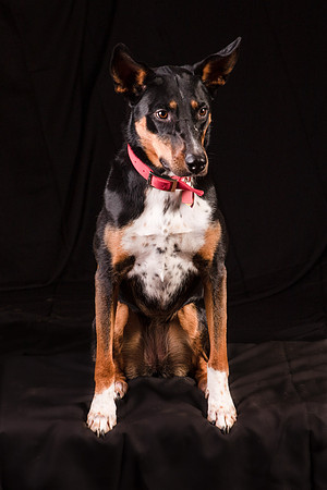 Foster Mia-1258