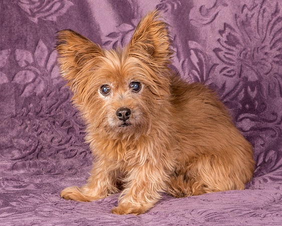 Foster Nessa-5692