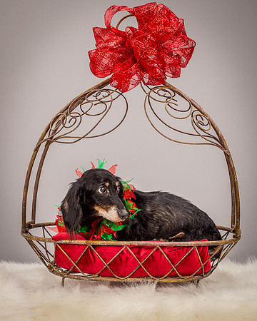 Foster Bernice-3744