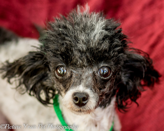 Foster Lillian-2967