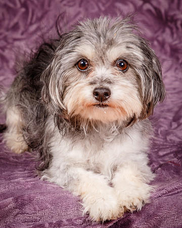 Foster Alex-6270