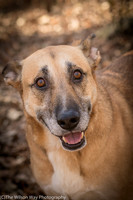 Foster Rita-2477