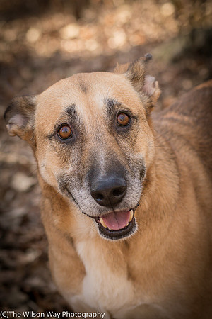 Foster Rita-2477