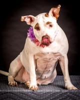 Foster Joanie-0418
