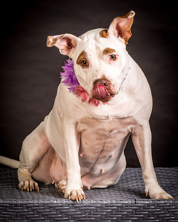 Foster Joanie-0418