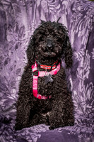 Foster Mindy-2710
