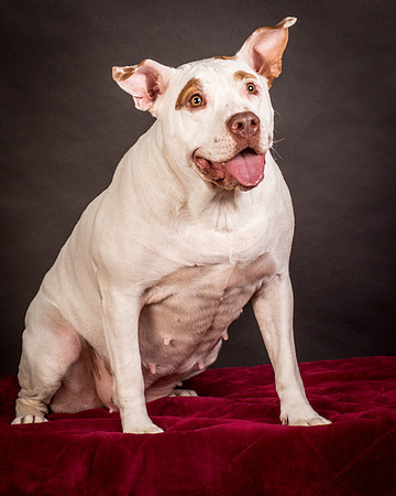 Foster Joanie-0506