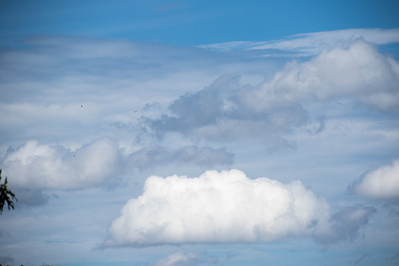 Clouds-6068