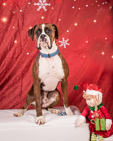 Buford-2575