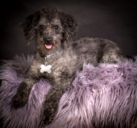 Foster Mokey-1343