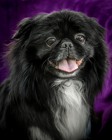 Foster Prince-0955