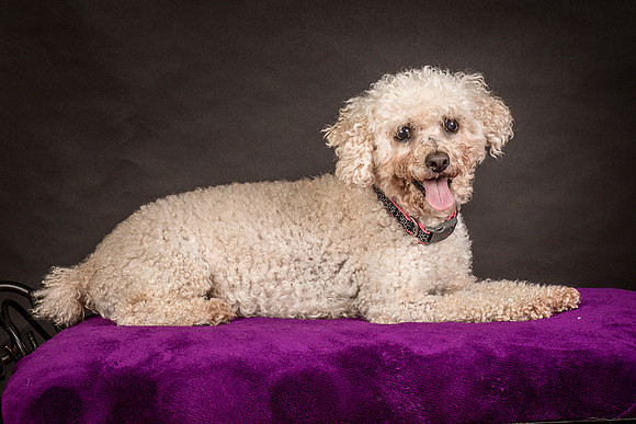 Foster Mae-8987