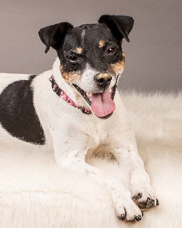 Foster Pollyanna-3913
