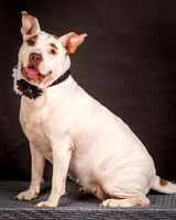 Foster Joanie-0426