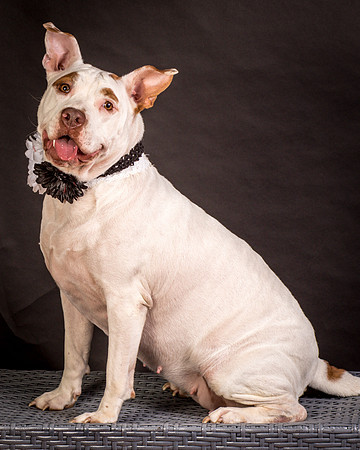 Foster Joanie-0426