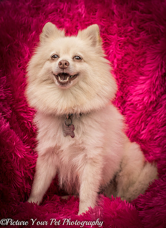 Foster Laverne-6364