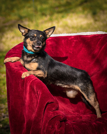 Foster Peanut-2830