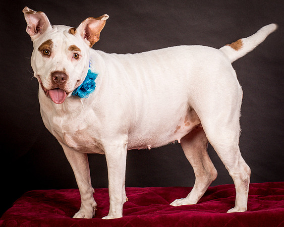 Foster Joanie-0466