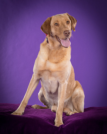 Foster Fred-5988