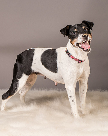 Foster Pollyanna-3927