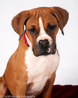 Foster Lenny-3016