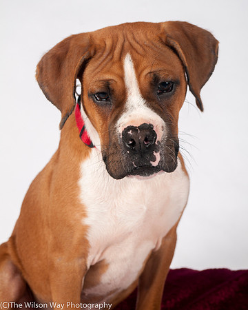 Foster Lenny-3016