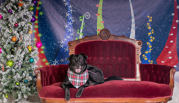Foster Beatrice-3970