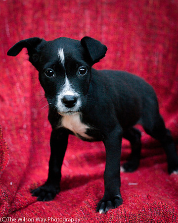Foster Blythe-3910