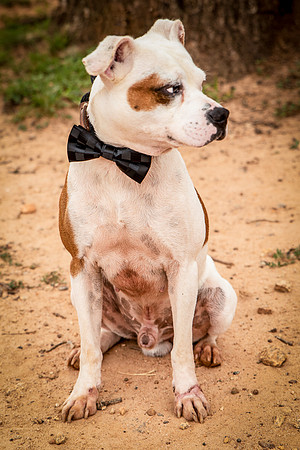 Debo-0401