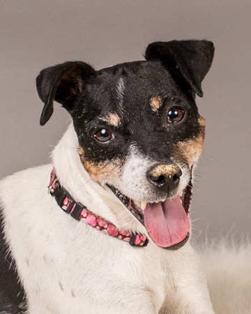 Foster Pollyanna-3893