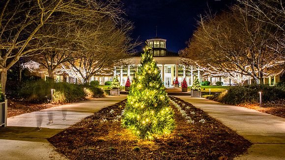 Christmas-2953