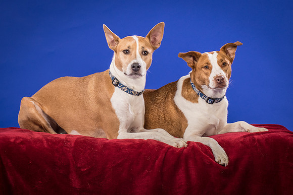 Urschel-Ethel and Ruby-9713