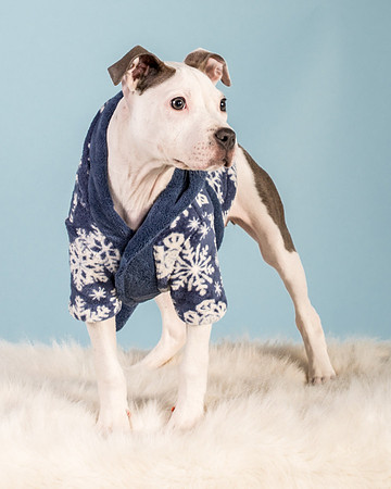 Foster Luna-4782