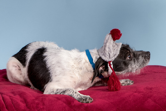 Foster Billie-8255