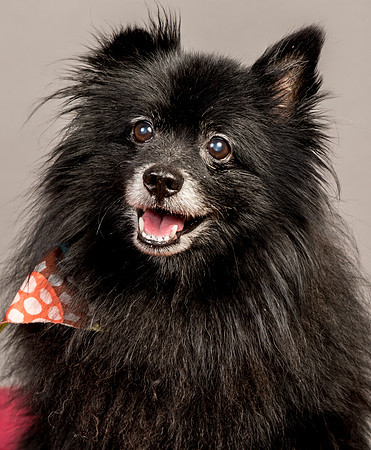 Foster Wayne-7972