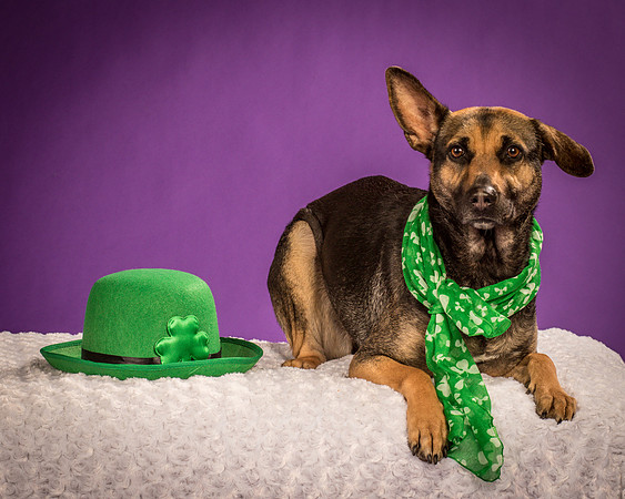 Izzy-2201
