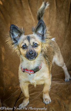 Foster Delphine-6409