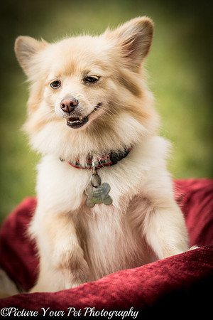 Foster Shirley-6143