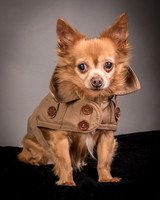 Foster Pancho-9460
