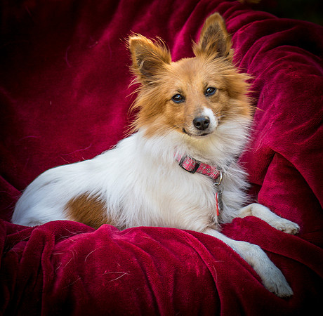 Foster Brandi-3357