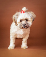 Foster Frida-9736