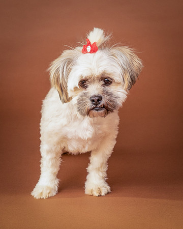 Foster Frida-9736