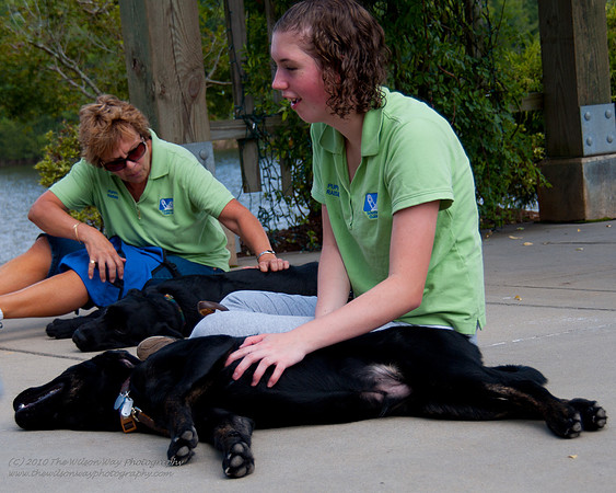 Guide Puppies (14 of 191)