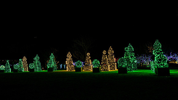 Christmas-2533