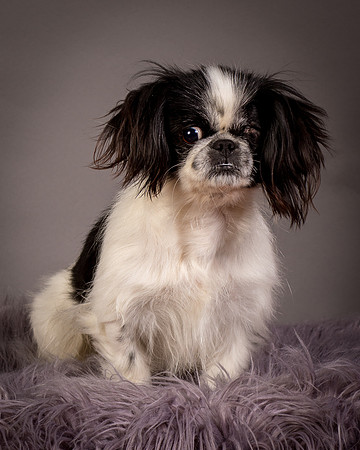 Foster Gypsy Rose-7849