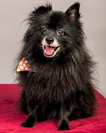 Foster Wayne-7852
